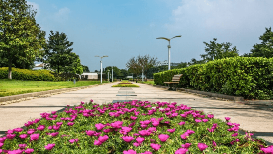 حديقة حي الندى الرياض