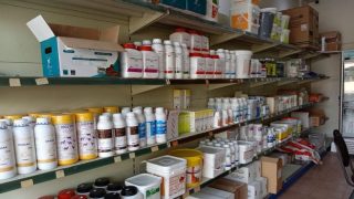 أفضل محلات مبيدات حشرية في جدة